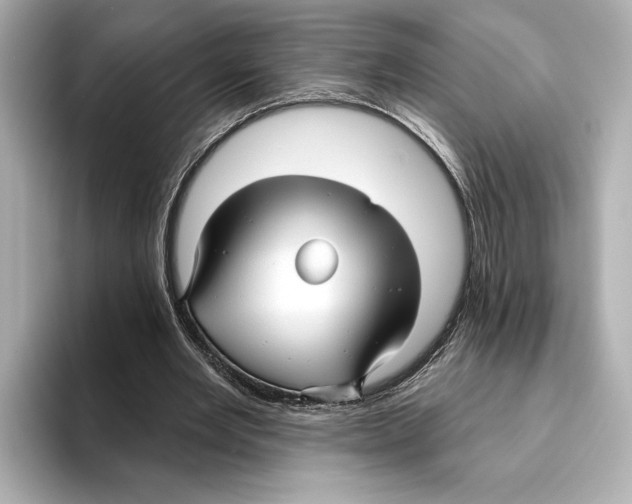 X0000095680485200802051254