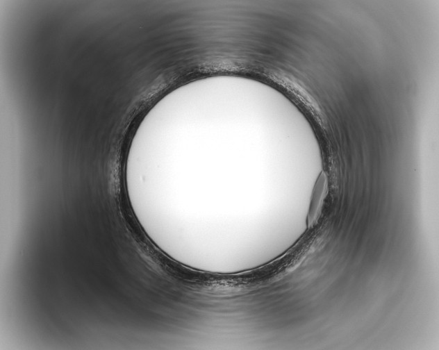 X0000095680489200802051254