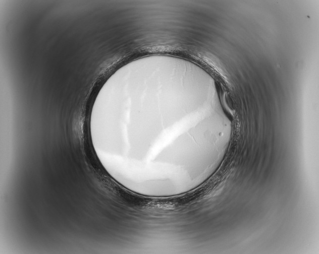 X0000095680491200802051254