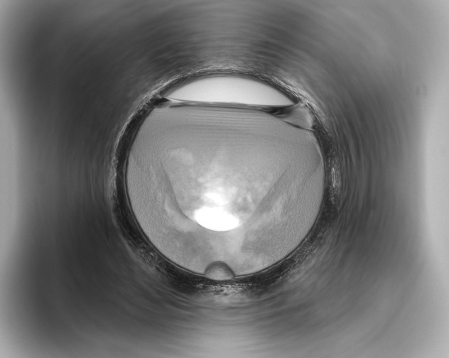 X0000095680492200802051254