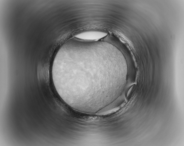 X0000095680493200802051254