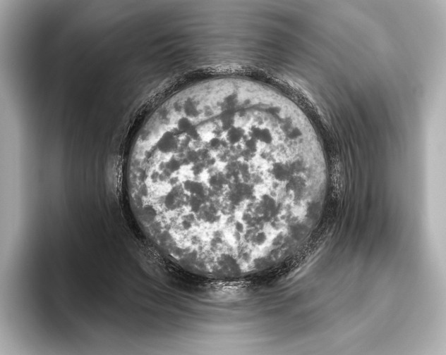 X0000095680495200802051254