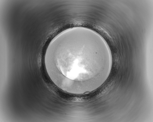 X0000095680496200802051254