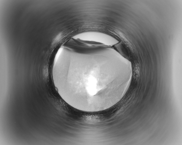 X0000095680500200802051254