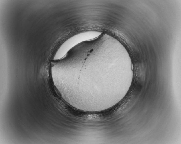 X0000095680501200802051254