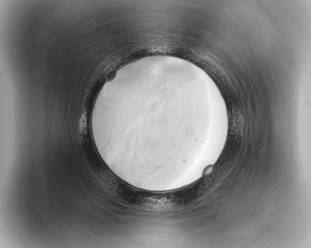 X0000095680502200802051254