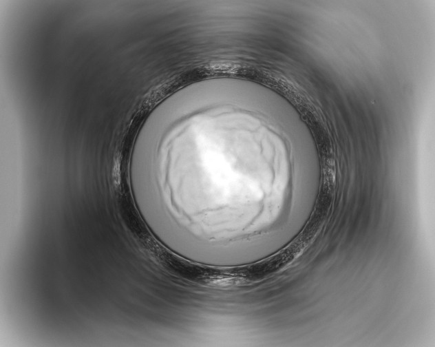 X0000095680504200802051254