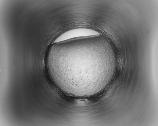 X0000095680508200802051254