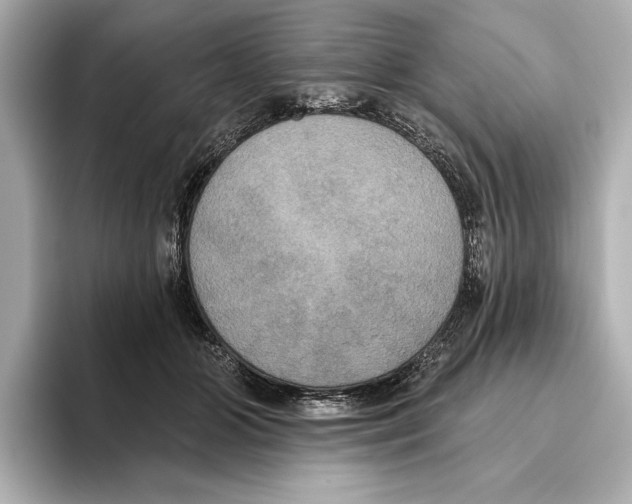 X0000095680510200802051254