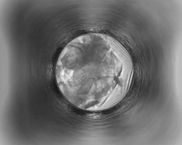 X0000095680511200802051254