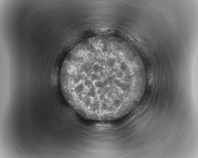 X0000095680515200802051254