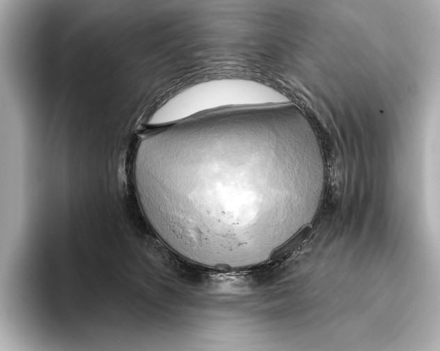 X0000095680516200802051254