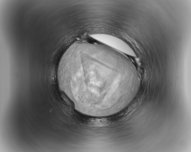 X0000095680517200802051254