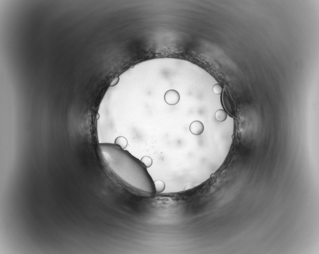 X0000095680519200802051254