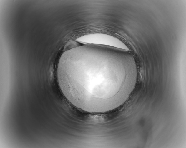 X0000095680520200802051254