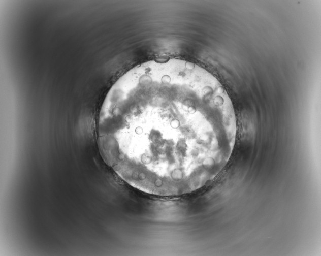 X0000095680523200802051254