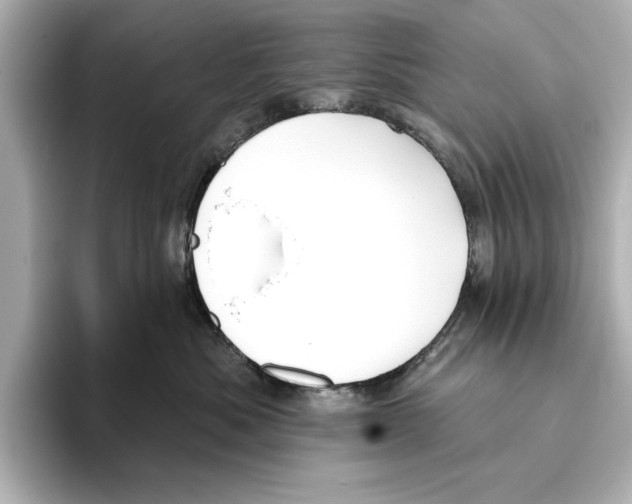 X0000095680525200802051254