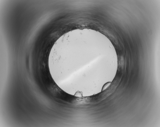 X0000095680526200802051254