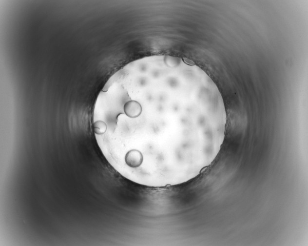 X0000095680527200802051254