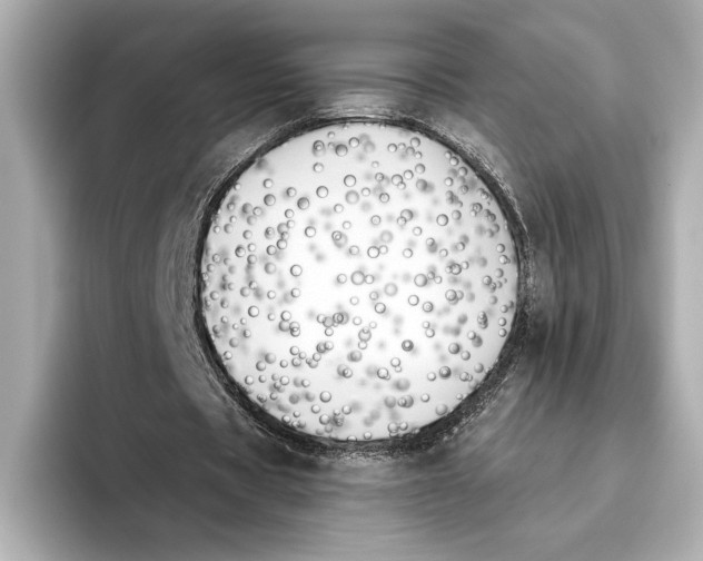 X0000095680529200802051253