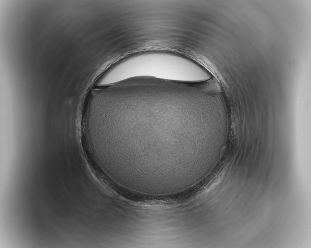 X0000095680530200802051253