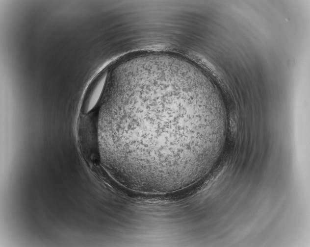 X0000095680532200802051253