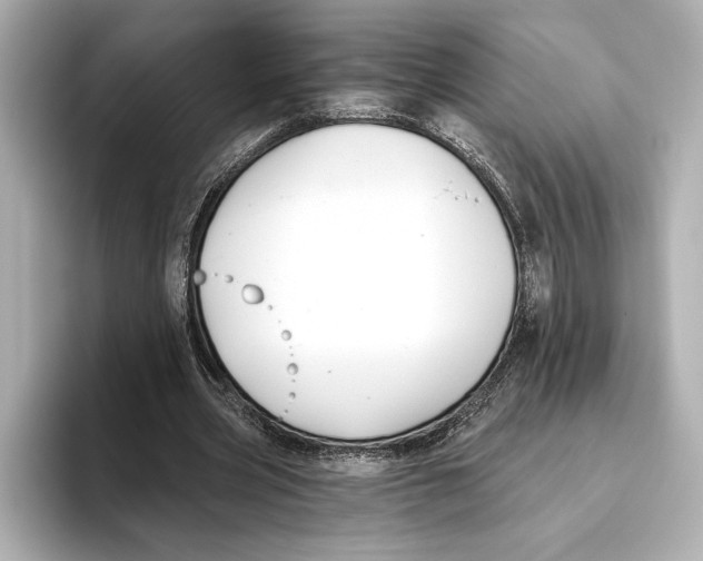 X0000095680533200802051253