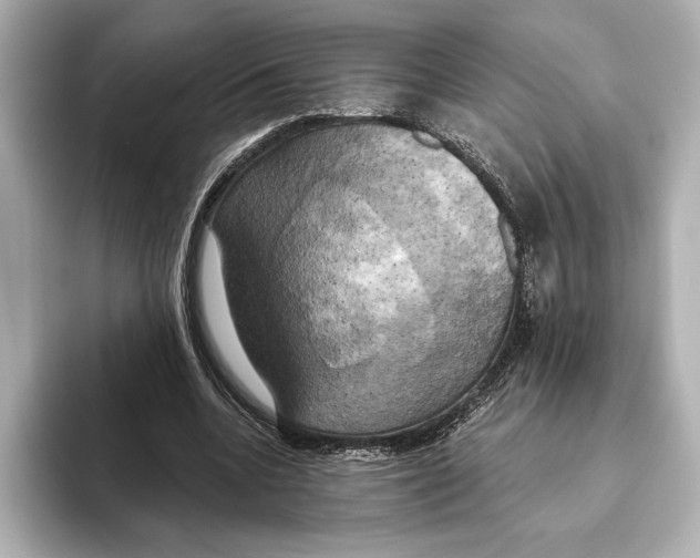 X0000095680536200802051253