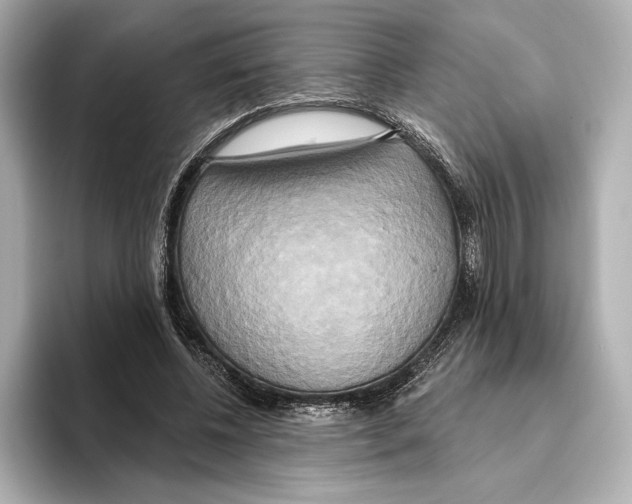 X0000095680540200802051253