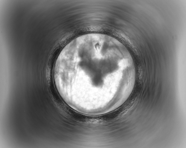 X0000095680542200802051253