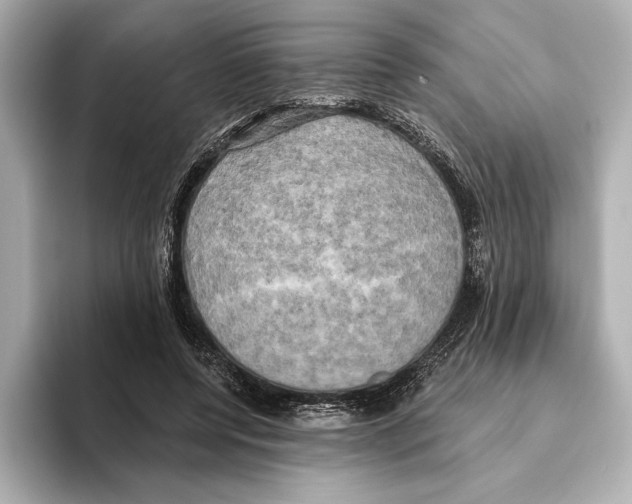 X0000095680544200802051253