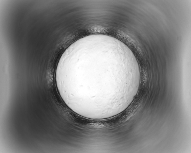 X0000095680545200802051253