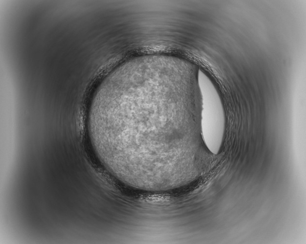 X0000095680546200802051253