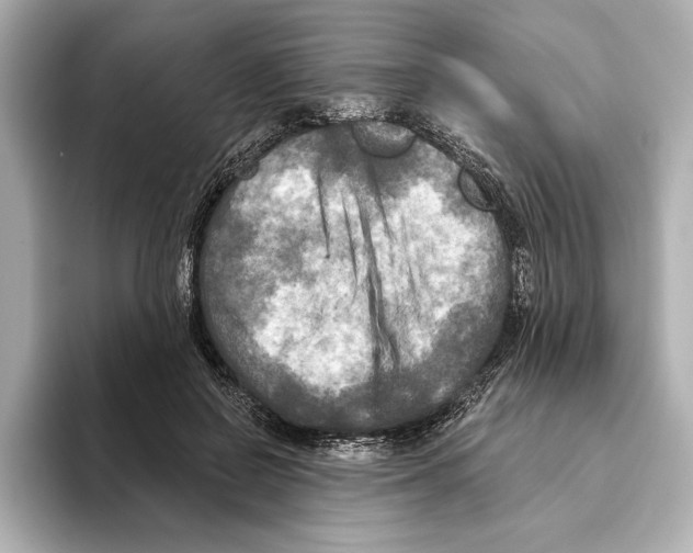 X0000095680550200802051253