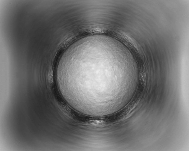 X0000095680552200802051253