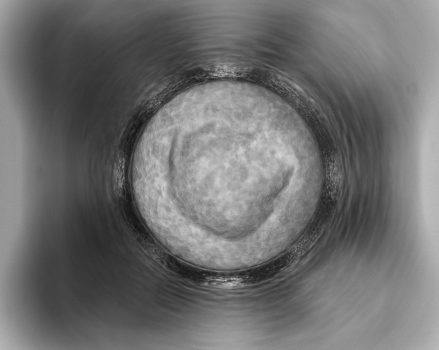 X0000095680554200802051253