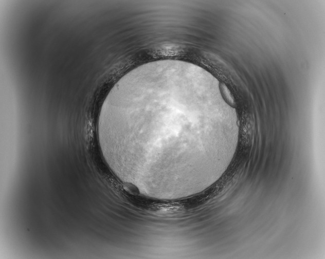 X0000095680555200802051253