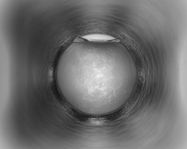 X0000095680556200802051253