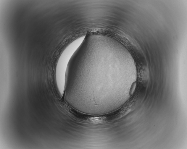 X0000095680558200802051253