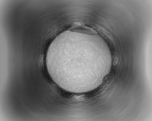 X0000095680560200802051253