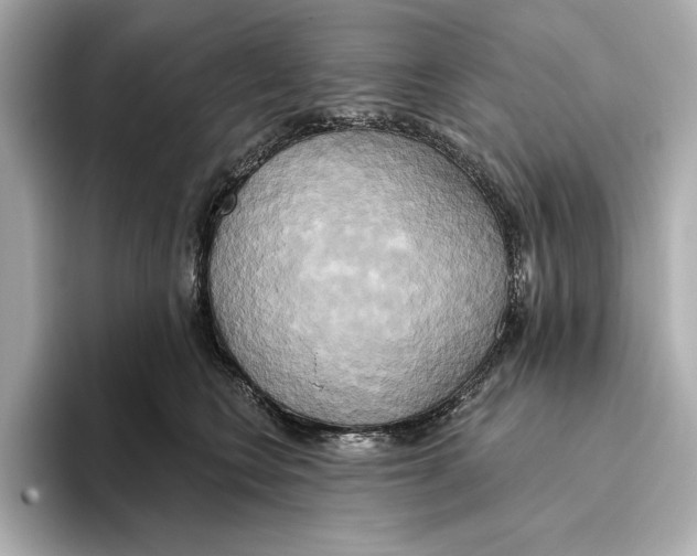 X0000095680566200802051254