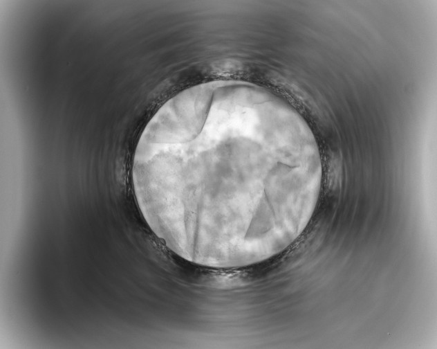 X0000095680569200802051254