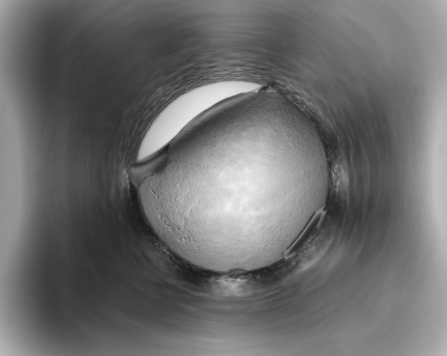 X0000095680570200802051254