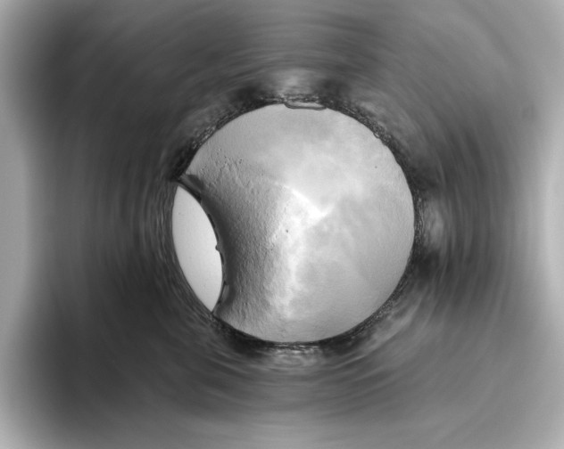 X0000095680571200802051254