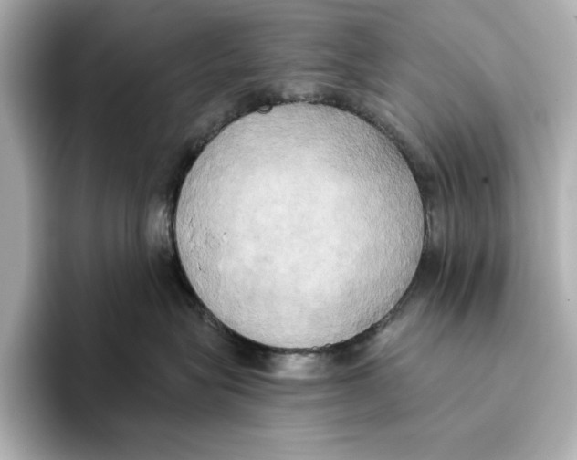 X0000095680575200802051254