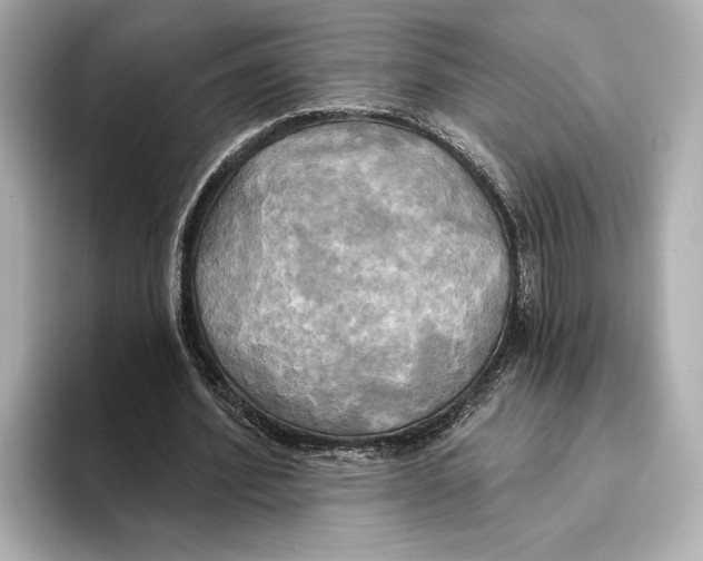 X0000095680580200802051253