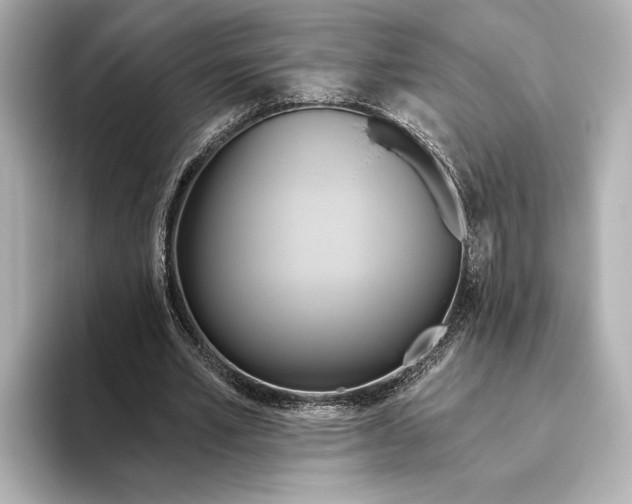 X0000095680581200802051253