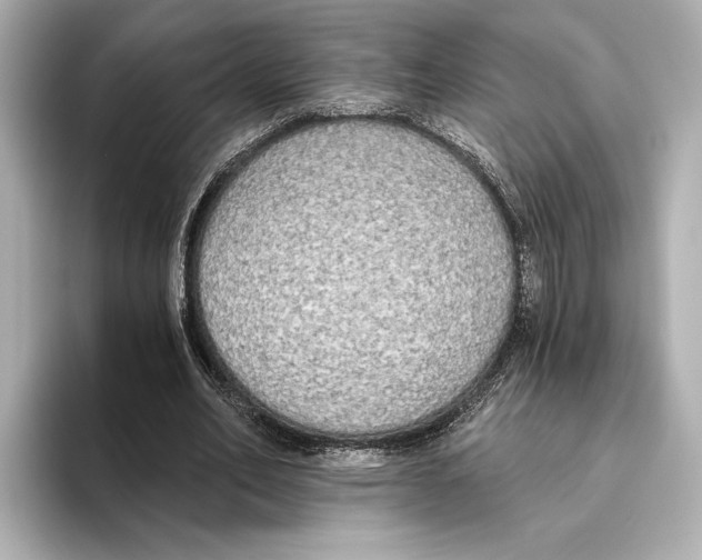 X0000095680582200802051253