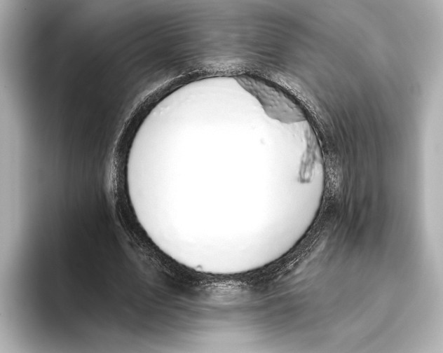 X0000095680583200802051253