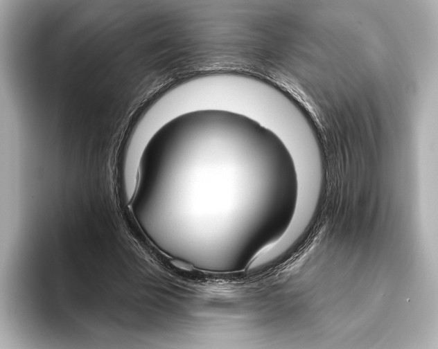 X0000095680585200802051253